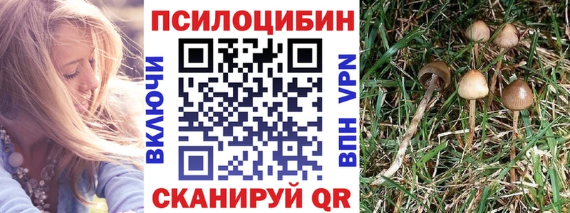 маркетплейс состав Нолинск Псилоцибиновые грибы Magic Shrooms